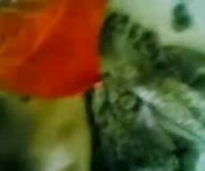 শ্যামাঙ্গিণী ব্লজব বাঁড়ার রস খাবার বাংলা দেশি চুদা চুদি